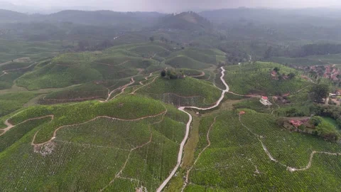 Drone shot capturing lush tea estates in Valparai with multiple curving roads 스톡 동영상 333640915