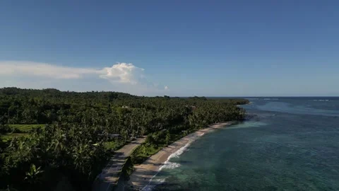 Drone shot capturing the natural mangrove coastline of Siargao Stock Footage 326506901