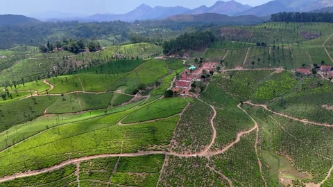 Drone shot capturing a peaceful rural settlement set amid patterned Stock Footage 333897685