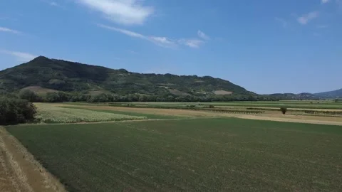 Drone shot capturing the vibrant green patchwork of fields and vineyards Video stock 273045065