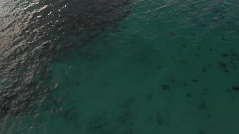 Drone shot of caribbean water camera tilt up Stock Footage 201414957