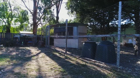 Drone shot of chickens and coop in Taralgon, Victoria, Australia Stock-Footage 277519332