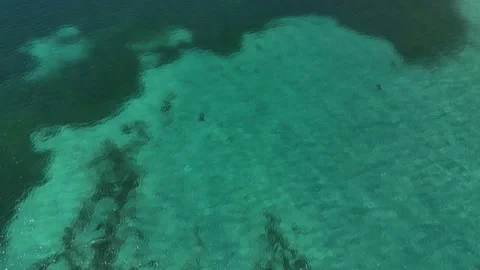 Drone shot clear ocean waters flying above shipwreck - St. Kitts Major's Bay Stock Footage 325752400