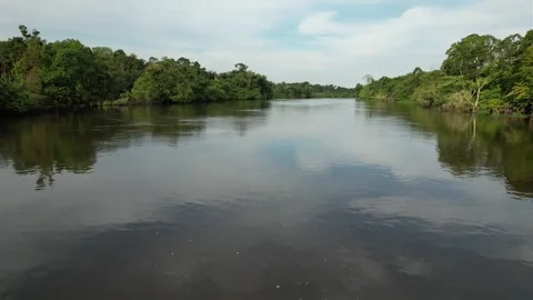 Drone Shot close to the water in Amazon Stock Footage 220521948