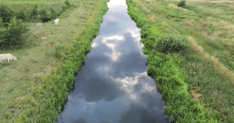 Drone shot of cloud reflection in river Stock Footage 205331314