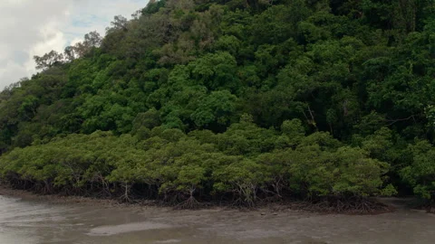 Drone shot of coastline environment Stock Footage 247307564