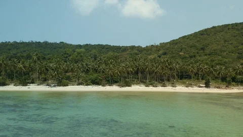 Drone Shot Of Coconut Palm Trees Paradise On Beautiful Beach Thailand Stock Footage 122289661