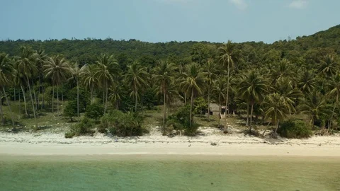 Drone Shot Of Coconut Palm Trees Line Along The Beach Thailand Stock Footage 122290467