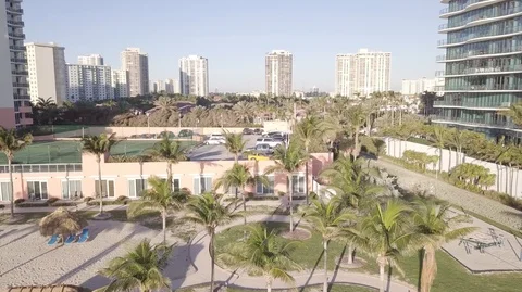 Drone shot  of coconut trees Stock Footage 104482420