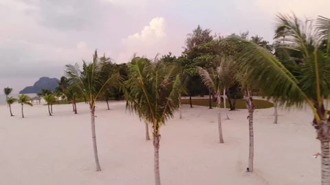 A drone shot of coconut trees on a white sand beach in Malaysia Stock Footage 251272686