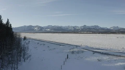 Drone shot coming around some trees exposing mountains and Stock Footage 124805311