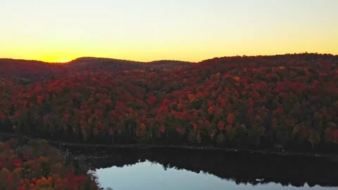 Drone shot coming down slowly at sunset behind the colorful trees in the park Stock-Footage 163983888
