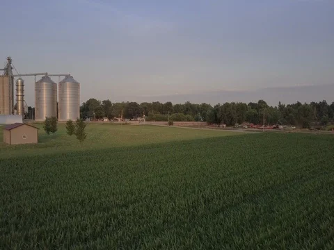 Drone Shot of a corn fields farming 動画素材 77656778