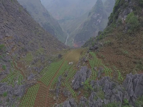 Drone shot: Corn fields at hills of Ha Giang, Vietnam Stock Footage 81824073