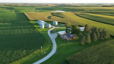 Drone shot of corn &amp; soybean farm in Orient, Iowa. Long shadows in Golden Hour. Stock Footage 248480749