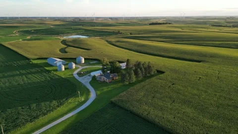 Drone shot of corn &amp; soybean farm in Orient, Iowa. Long shadows in Golden Hour. Stock Footage 248480768