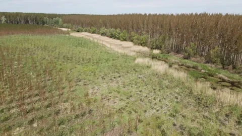 Drone shot of countryside in spring Stock-Footage 253092117