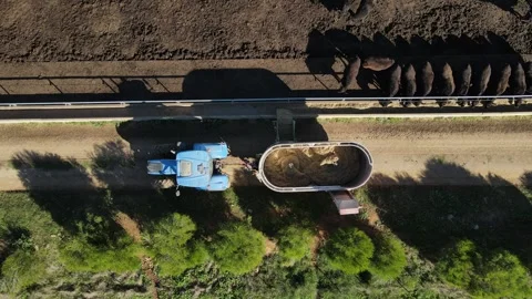 Drone Shot of Cows in Feeding Pen with Tractor in Action Stock Footage 304852152