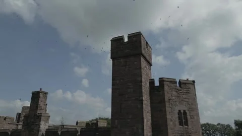 Drone shot of crazy amount of Swallows around castle in Cheshire Stock Footage 259289255