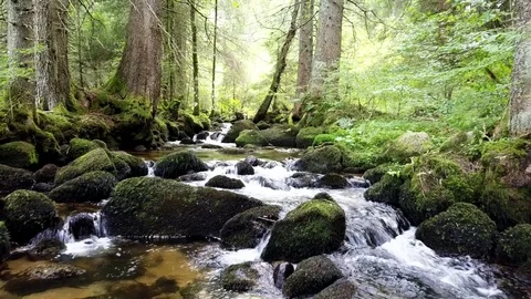 Drone shot of a creek in the black forest Stock Footage