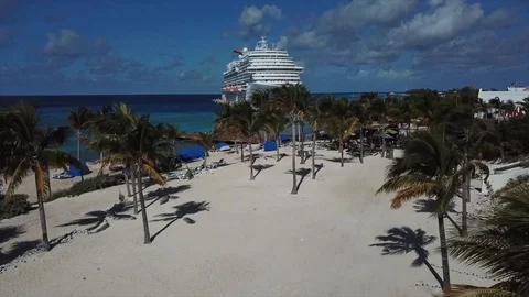 Drone shot of Cruise Ship through Palm Trees 库存影片 102798571