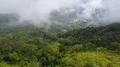 Drone shot curve aerial green jungle mountains in clouds beautiful Indonesia 4k or 4k+ Resolution