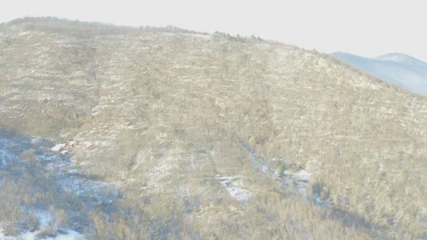 Drone shot of a deciduous tree on a hill covered with snow Stock Footage 170484745