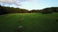 Drone shot deep flight over rolled corn field hay bales on woodland grass meadow 4k or 4k+ Resolution