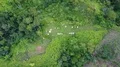Drone shot descent aerial top view graveyard in jungle mountain landscape 4k or 4k+ Resolution