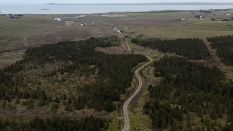 Drone shot of a dirt track in a pine forest on the Outer Hebrides Stock Footage 327533020