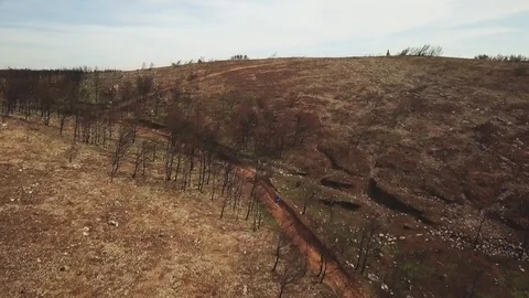 Drone shot of distant view of man running along path in natural setting, Cascais Stock Footage 114851739