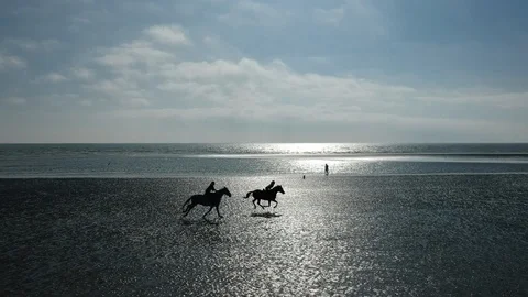 Drone shot of dogs chasing two horse riders on the beach Stock Footage 114375315