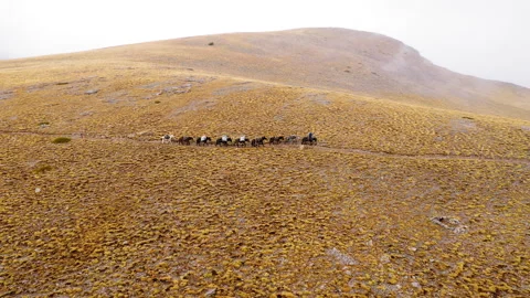 Drone shot of donkeys and mules guided by their shepherd on a rugged mountain 스톡 동영상 331225751