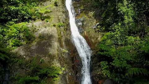 Drone Shot - Downstream Flow Of A Jungle Waterfall - Palawan, Philippines 動画素材 88987735