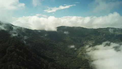 Drone Shot of Dramatic Tropical Mountain Landscape with Morning Mist Stock Footage 333698268