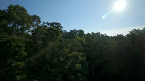 Drone shot drifting over thick pine treetops in daylight Stock Footage 346598452