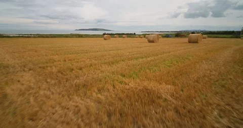 Drone Shot Farm Fields In Autumn Stock Footage 128391010