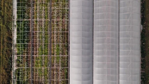 Drone shot of fields and green houses,farm country Stock Footage 102040985