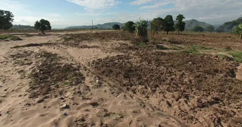 Drone shot of fields in Chikwawa, southern Malawi Video stock 245977791