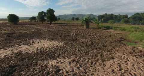 Drone shot of fields in Chikwawa, southern Malawi Stock Footage 245978432