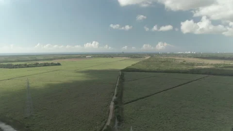 Drone Shot of Fields in Dominican Republic Stock Footage 230671552
