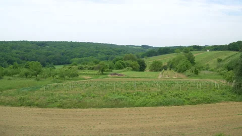 Drone Shot Of Fields During Harvest Season Stock Footage 132342687