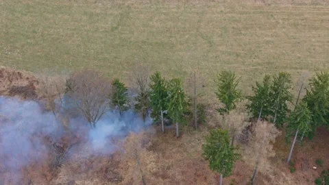 Drone shot of fire on forest edge starting near hunting stand with visible .. Stock Footage 332502035