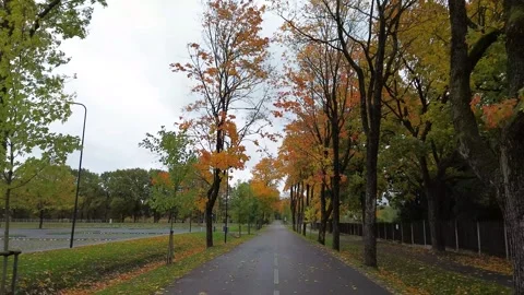A drone shot of a flight down autumn road flanked by trees in overcast weather Stock Footage 254084943