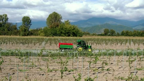 Drone shot flight in vineyard following driving tractor with boxes of grapes 库存影片 238538799