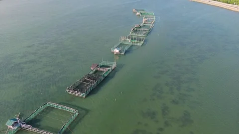 Drone Shot of Floating Fish Pens and Aquaculture Cages in Philippine Coastal Stock Footage 316235827