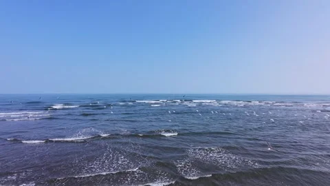 A drone shot of flocks of birds at the beach in Al-Suwaiq Wilayat Stock Footage 338240017