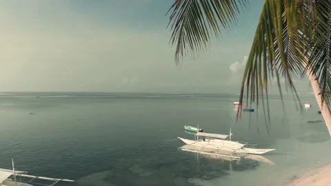 Drone shot fly between palm trees,panorama on palm grove,sandy beach with boats Stock Footage 141064787