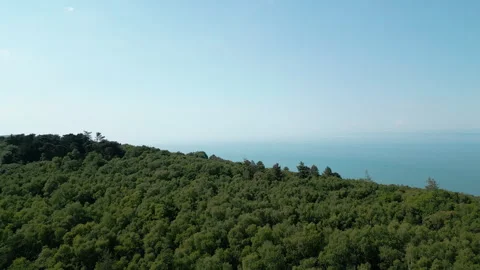 Drone Shot Fly Over Forest Revealing the Coast at Bossington Hill Stock Footage 336173153