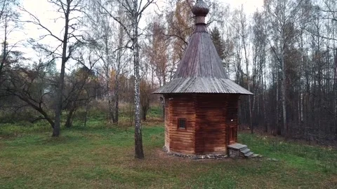 Drone shot, flying back between trees, small forest watch Vidéo 141544006